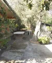TAORMINA: Casa Singola Panoramica con Giardino TAORMINA: Casa Singola Panoramica con Giardino