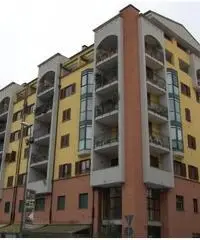 Bilocale in vendita zona Muratori