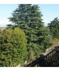Vendita Quadrilocali in Via Duca degli Abruzzi Vendita Quadrilocali in Via Duca degli Abruzzi