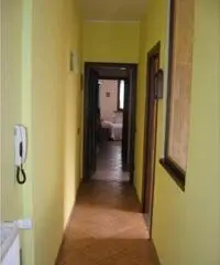 Vendita Casa indipendente in Via Cesare Zanola Vendita Casa indipendente in Via Cesare Zanola