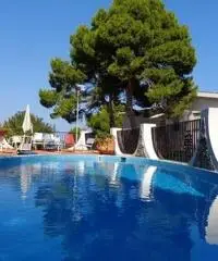 ALFA - AM014 - Villa con Piscina Zona Mare ALFA - AM014 - Villa con Piscina Zona Mare