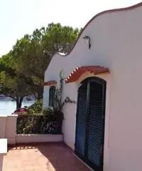 ALFA - AM014 - Villa con Piscina Zona Mare ALFA - AM014 - Villa con Piscina Zona Mare