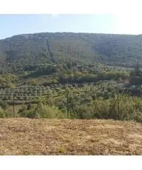 A100LA - Quadrilocale a Corciano A100LA - Quadrilocale a Corciano