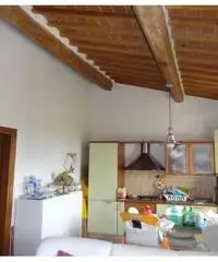 Appartamento in vendita a SAN FREDIANO A SETTIMO - Cascina 70 mq
rif: 375611 Appartamento in vendita a SAN FREDIANO A SETTIMO - Cascina 70 mq
rif: 375611