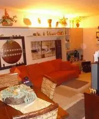 Appartamento in vendita a NAVACCHIO - Cascina 75 mq Appartamento in vendita a NAVACCHIO - Cascina 75 mq