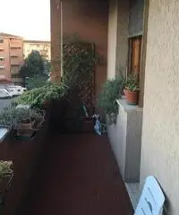 Appartamento in Vendita a Pisa - Cep di 110 mq Appartamento in Vendita a Pisa - Cep di 110 mq