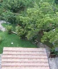 Stabile/Palazzo in vendita a Calci 520 mq
rif: 7927 Stabile/Palazzo in vendita a Calci 520 mq
rif: 7927