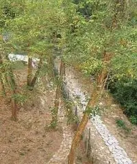 Stabile/Palazzo in vendita a Calci 520 mq
rif: 7927 Stabile/Palazzo in vendita a Calci 520 mq
rif: 7927