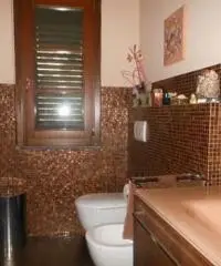 Terratetto in vendita a ASCIANO - San Giuliano Terme 78 mq