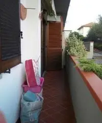 APPARTAMENTO di 3 vani e di 65 mq (CARMIGNANO) APPARTAMENTO di 3 vani e di 65 mq (CARMIGNANO)