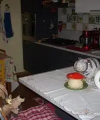 APPARTAMENTO di 3 vani e di 65 mq (CARMIGNANO) APPARTAMENTO di 3 vani e di 65 mq (CARMIGNANO)