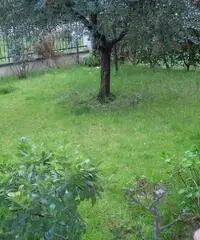 APPARTAMENTO di 4 vani e di 92 mq (CARMIGNANO) APPARTAMENTO di 4 vani e di 92 mq (CARMIGNANO)