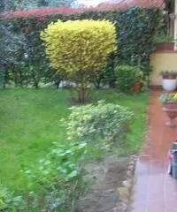 APPARTAMENTO di 4 vani e di 92 mq (CARMIGNANO) APPARTAMENTO di 4 vani e di 92 mq (CARMIGNANO)