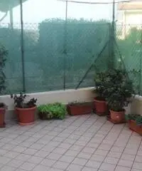 Trarivi: Vendita Trilocale da 60mq