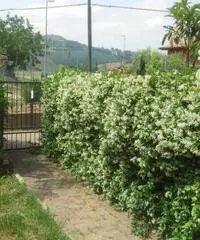 Trarivi: Vendita Villa da 120mq