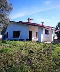 Vendita Villa in Via Panoramica Vendita Villa in Via Panoramica