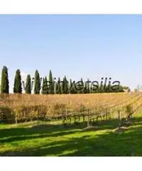 Azienda agricola in vendita a Montepulciano 70000 mq