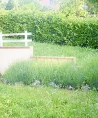 Villetta bifamiliare/Duplex in vendita a Casole d'Elsa 400 mq