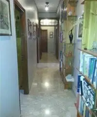 Centro città: Vendita Cinque locali in Viale Scala Greca Centro città: Vendita Cinque locali in Viale Scala Greca