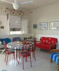 Vendita Villa in Viale dei Lidi Vendita Villa in Viale dei Lidi