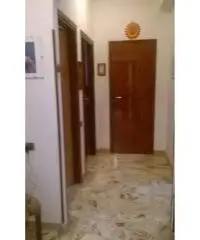 Zona Tunisi Trilocale Zona Tunisi Trilocale