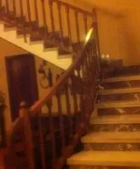 Villa Bifamiliare con terrazzo in via privata zona residenziale