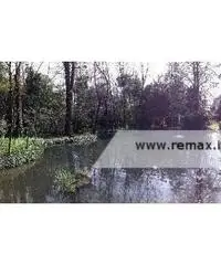 Villa Bertolini - Villa Veneta del XVI secolo Villa Bertolini - Villa Veneta del XVI secolo
