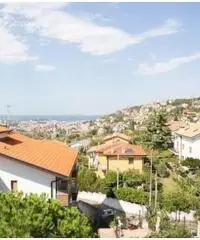 Vendita Cinque locali in VIA RATTO DEI MANDIERI Vendita Cinque locali in VIA RATTO DEI MANDIERI