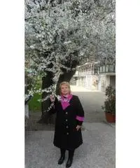 Cerco il lavoro Cerco il lavoro