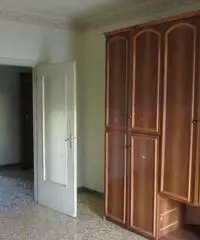 Appartamento in Affitto - Mirafiori sud Appartamento in Affitto - Mirafiori sud