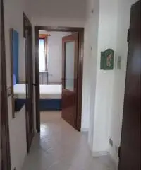 Appartamento di 2 locali in Affitto Appartamento di 2 locali in Affitto