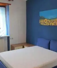 Appartamento di 2 locali in Affitto Appartamento di 2 locali in Affitto