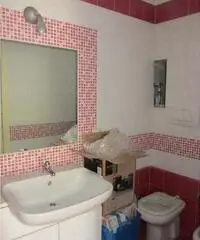 Torino Affitto Appartamento