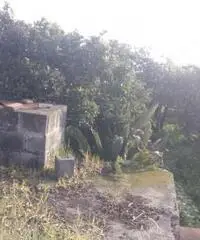 Terreno Altro in Vendita Terreno Altro in Vendita