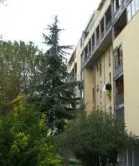 Appartamento in Vendita di 71mq Appartamento in Vendita di 71mq