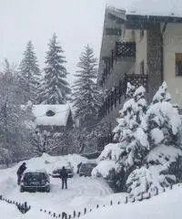 Courmayeur Affitto Appartamento Courmayeur Affitto Appartamento