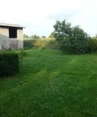 Codogne: Casa indipendente 5 Locali o piu Codogne: Casa indipendente 5 Locali o piu