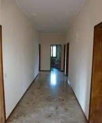 Codogne: Casa indipendente 5 Locali o piu Codogne: Casa indipendente 5 Locali o piu