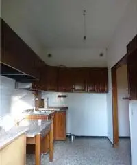 Codogne: Casa indipendente 5 Locali o piu Codogne: Casa indipendente 5 Locali o piu