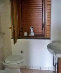 Rustico in Affitto Rustico in Affitto