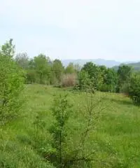 Terreno Altro in Vendita