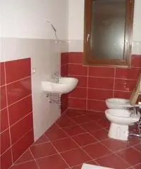 Loft in Affitto a 550 Loft in Affitto a 550
