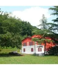 Vendita Rustico a Borgo a Mozzano Vendita Rustico a Borgo a Mozzano