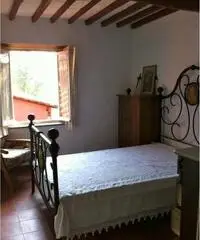Vendita Rustico a Borgo a Mozzano Vendita Rustico a Borgo a Mozzano