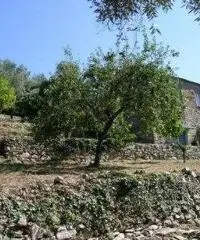 Vendita Villa a Santa Margherita Ligure