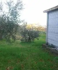 Lanciano Vendita Terreno