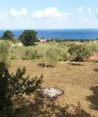 Messina: Terreno Agricolo Messina: Terreno Agricolo