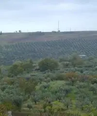 Appartamento a Cupello in provincia di Chieti Appartamento a Cupello in provincia di Chieti