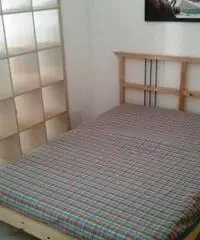 Este: Appartamento Monolocale Este: Appartamento Monolocale
