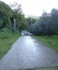 Vasto Vendita Appartamento Vasto Vendita Appartamento